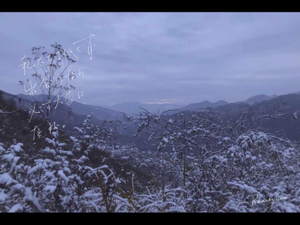 解答疑惑,尽在闲鱼如何加好友蜗牛问答平台